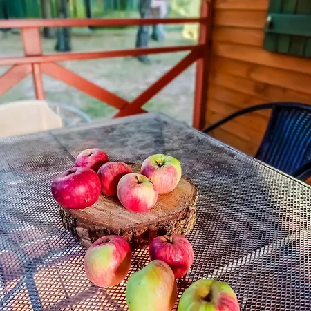 U Joanny Vakantiehuis